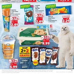 ALGIDA Lody Big Milk Donut