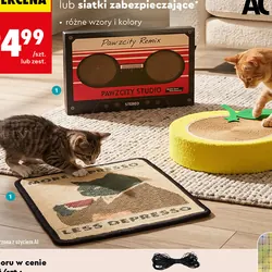 Drapak, mata węchowa lub siatka zabezpieczająca
