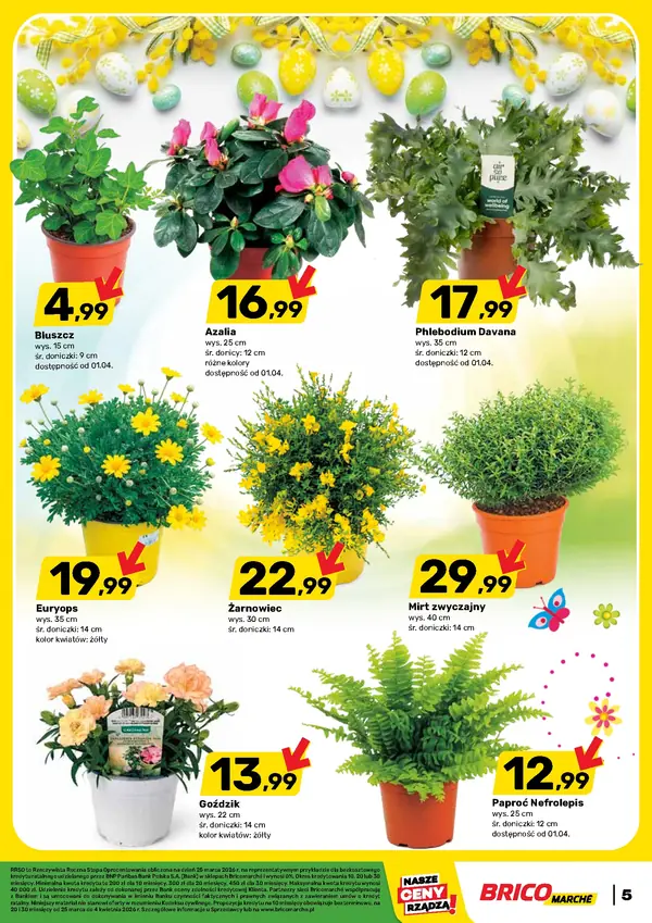 Strona 5 gazetki Bricomarche