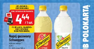 Szokująca obniżka: ogórki szklarniowe w POLOmarket za 5,99 zł zamiast 16,99 — warto pędzić do sklepu!