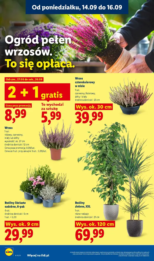 Strona 78 gazetki Lidl