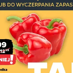 Papryka słodka czerwona