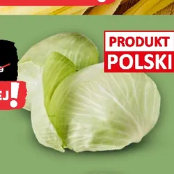 Kapusta gołąbkowa