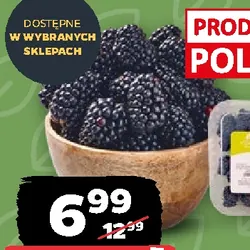 Jeżyna
