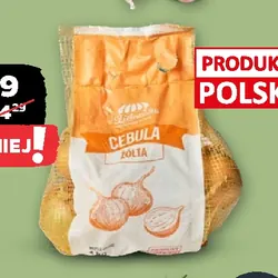Cebula