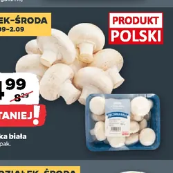 Pieczarka biała
