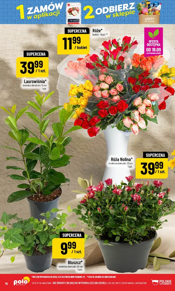 Strona 16 gazetki POLOmarket