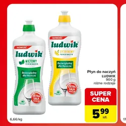 Płyn do naczyń LUDWIK