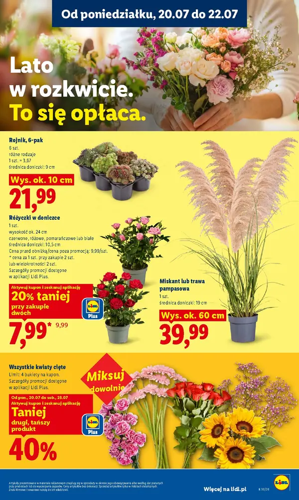 Strona 99 gazetki Lidl