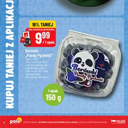 Borówki „Pandy Pychotki”