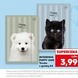 Teczka z gumką A4 Puppy Sign