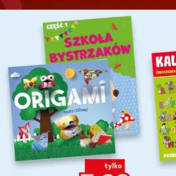 Książka Szkoła Bystrzaków / Origami