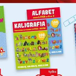 Książka Kaligrafia / Alfabet