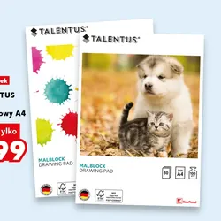 TALENTUS Blok rysunkowy A4