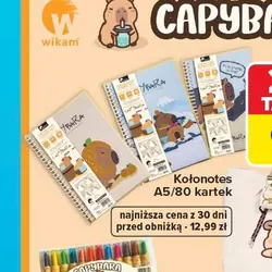 Kolonotes A5/80 kartek