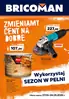 Strona 1