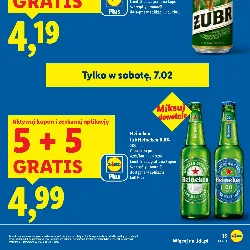 Żubr