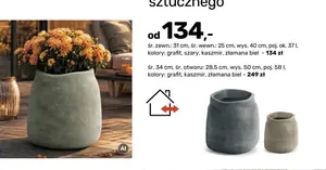 Strelicja w donicy za 119 zł — luksusowa roślina, która odmieni salon bez wydawania fortuny!