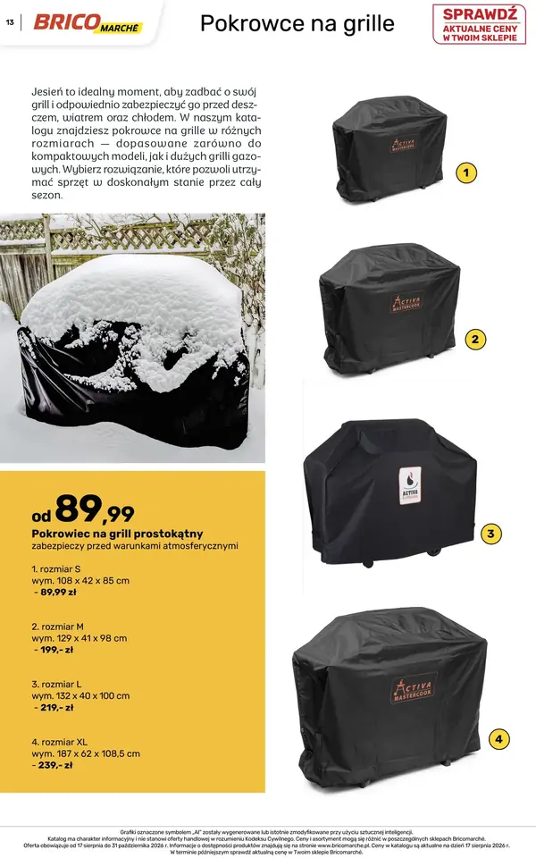 Strona 13 gazetki Bricomarche