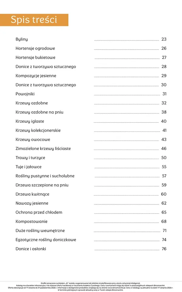 Strona 22 gazetki Bricomarche