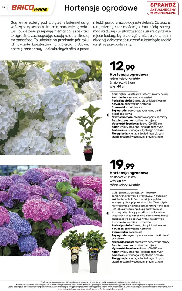 Strona 26 gazetki Bricomarche