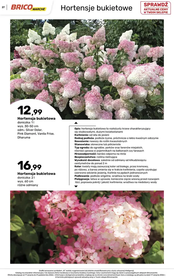 Strona 27 gazetki Bricomarche
