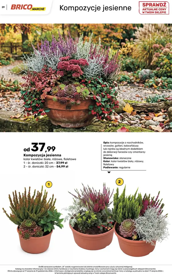 Strona 29 gazetki Bricomarche