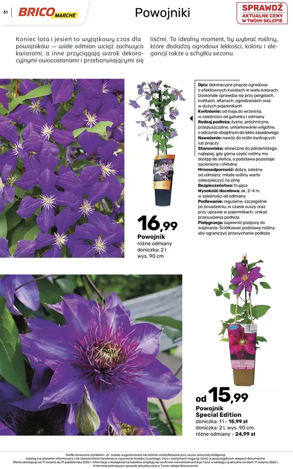 Strona 31 gazetki Bricomarche