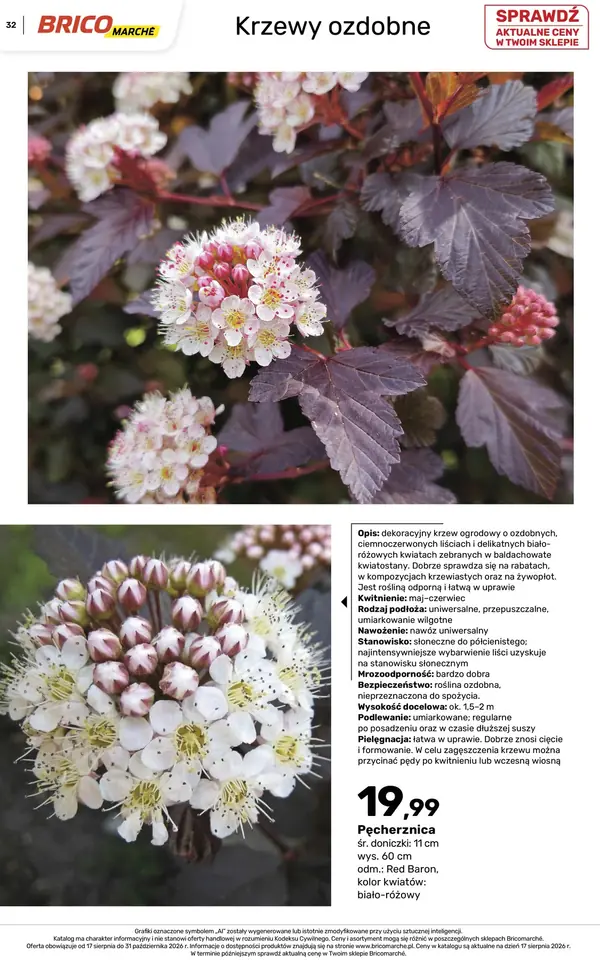 Strona 32 gazetki Bricomarche