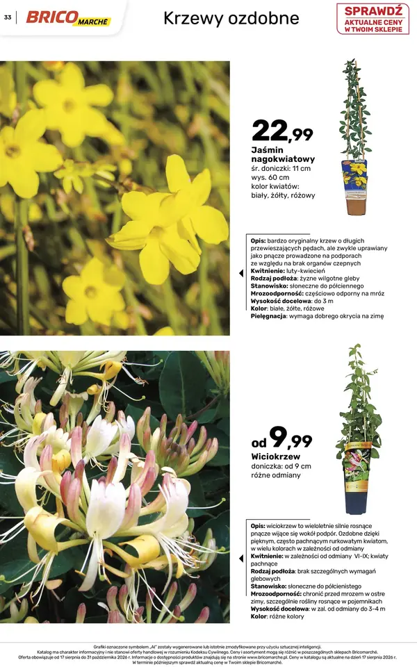 Strona 33 gazetki Bricomarche