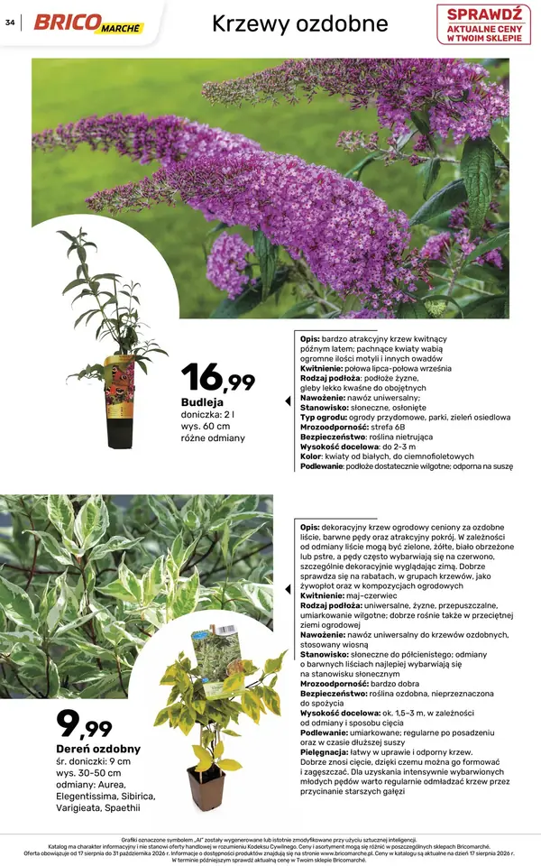 Strona 34 gazetki Bricomarche