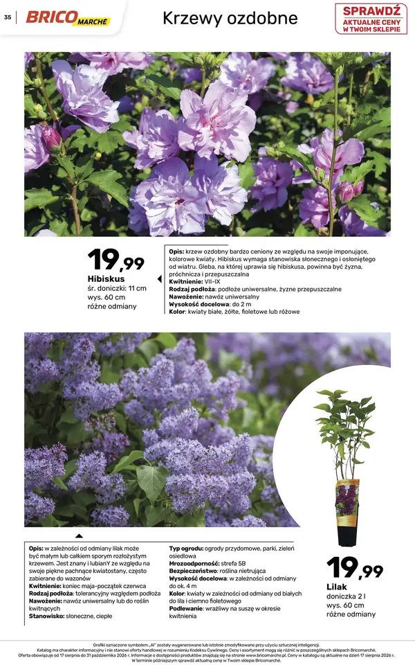 Strona 35 gazetki Bricomarche
