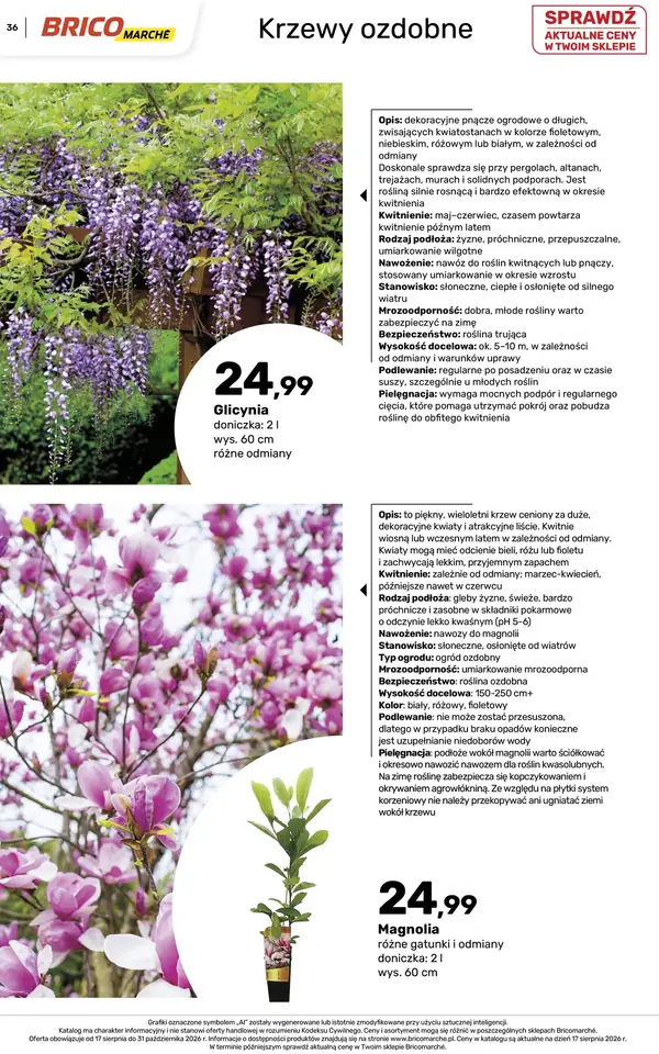 Strona 36 gazetki Bricomarche
