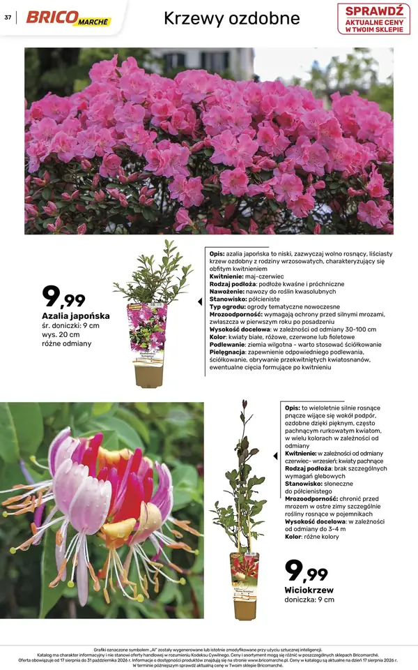 Strona 37 gazetki Bricomarche