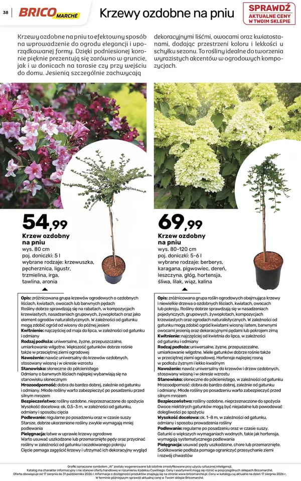 Strona 38 gazetki Bricomarche