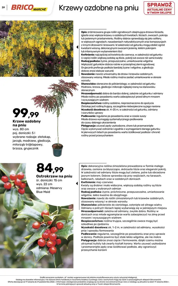 Strona 39 gazetki Bricomarche