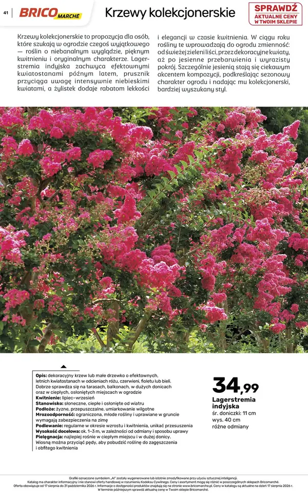 Strona 41 gazetki Bricomarche