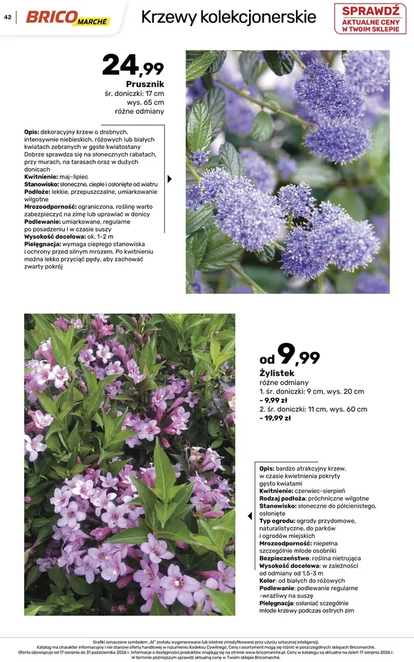 Strona 42 gazetki Bricomarche
