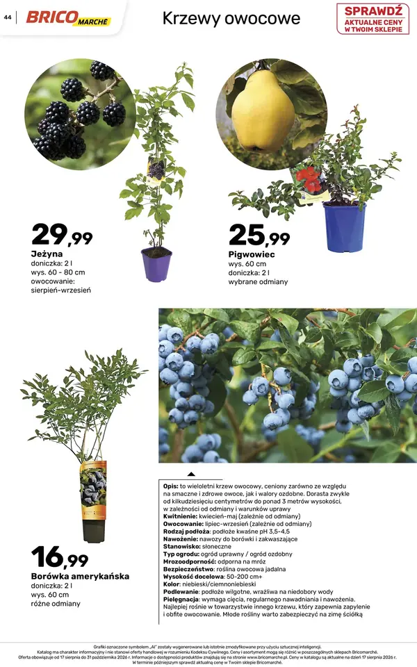 Strona 44 gazetki Bricomarche