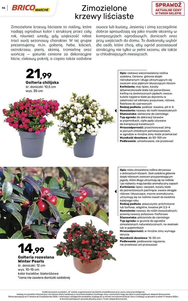 Strona 46 gazetki Bricomarche