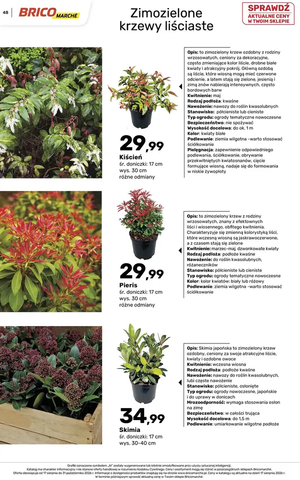 Strona 48 gazetki Bricomarche