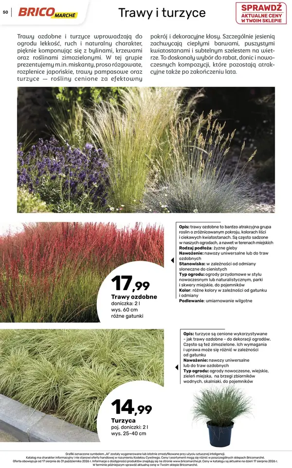 Strona 50 gazetki Bricomarche