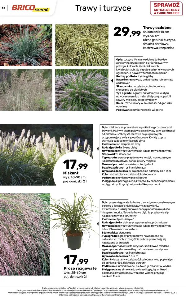 Strona 51 gazetki Bricomarche