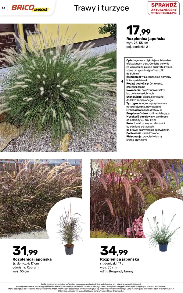 Strona 52 gazetki Bricomarche
