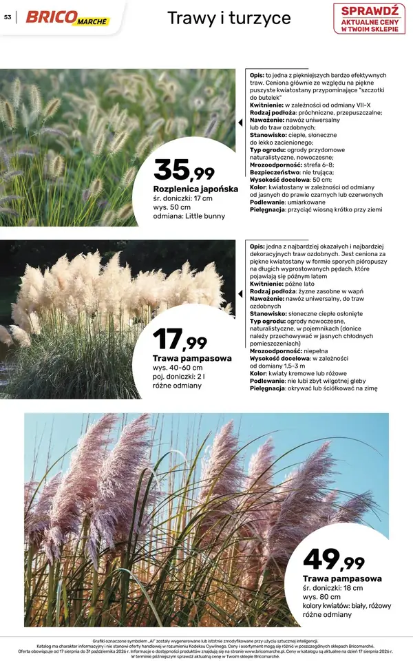Strona 53 gazetki Bricomarche