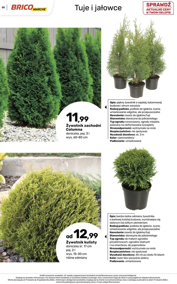 Strona 55 gazetki Bricomarche