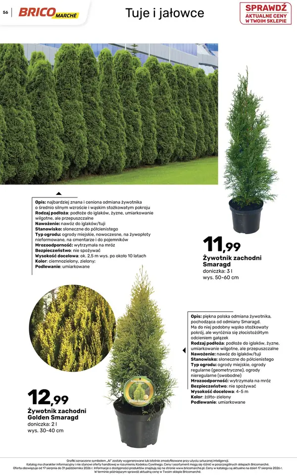 Strona 56 gazetki Bricomarche
