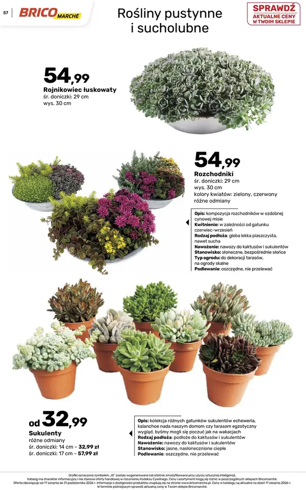 Strona 57 gazetki Bricomarche