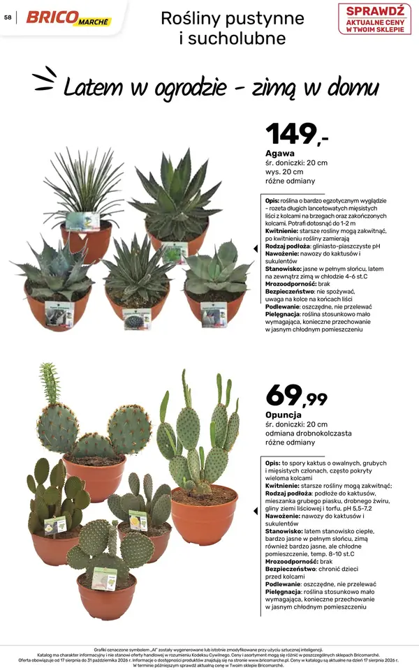 Strona 58 gazetki Bricomarche