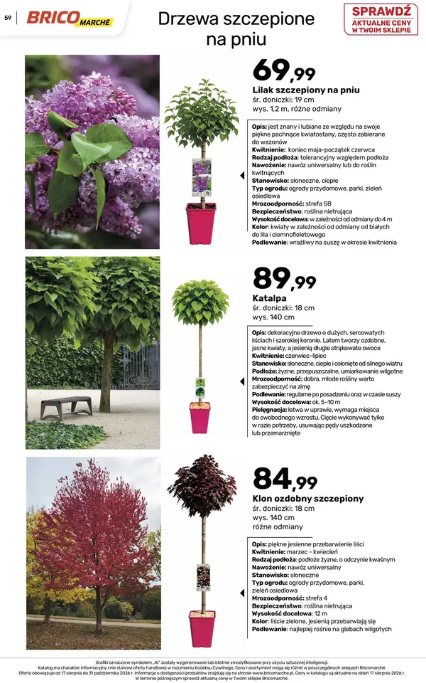 Strona 59 gazetki Bricomarche